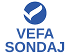 Vefa Sondaj Logo